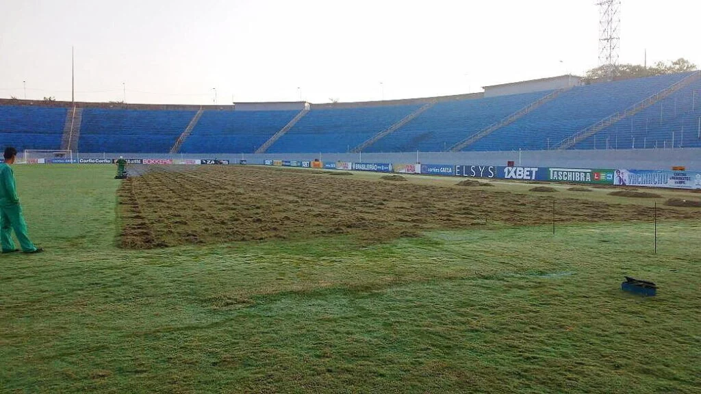Gramado do Estádio do Café está sendo revitalizado