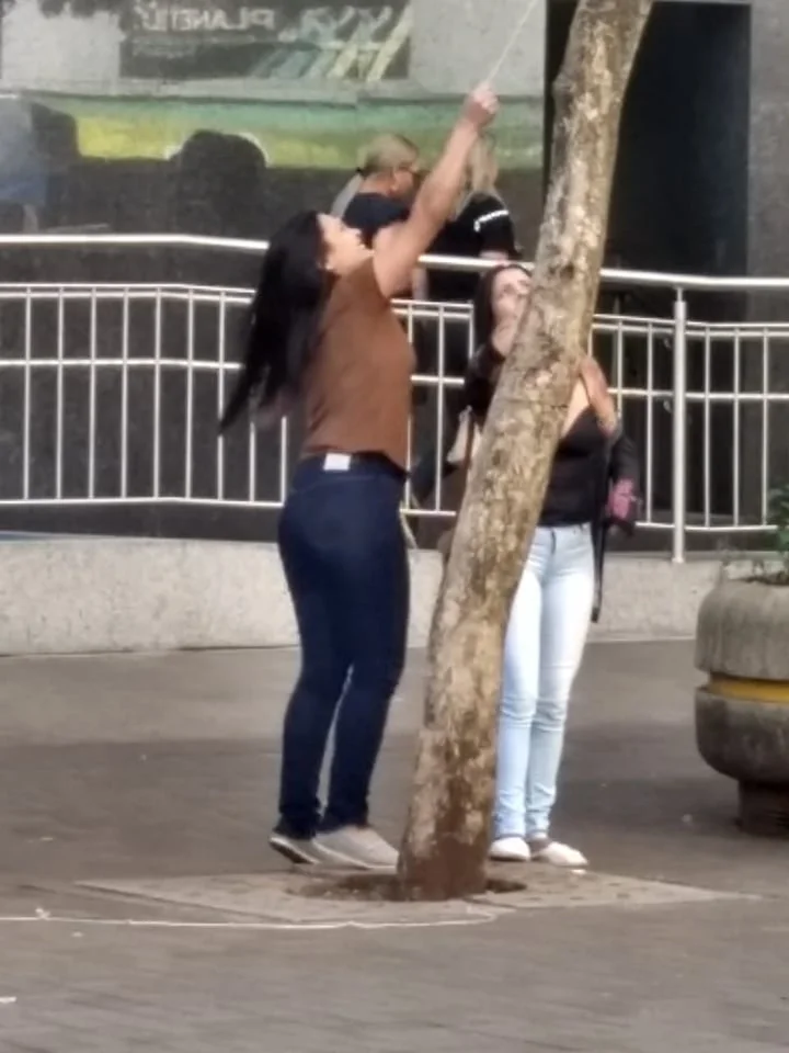 Duas mulheres tentam destruir faixas de protesto contra vereadores de Londrina
