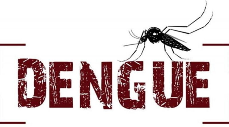 28 casos de dengue confirmados em Londrina. E aí, você vai colaborar?