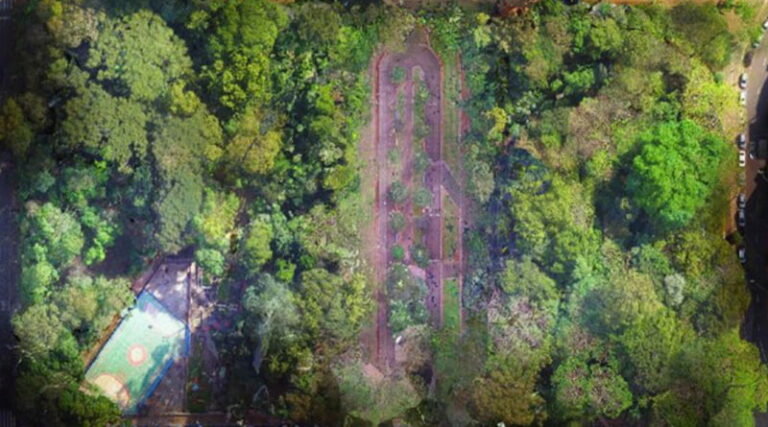 Transformar o Bosque em Praça. Solução ou esconder o problema?