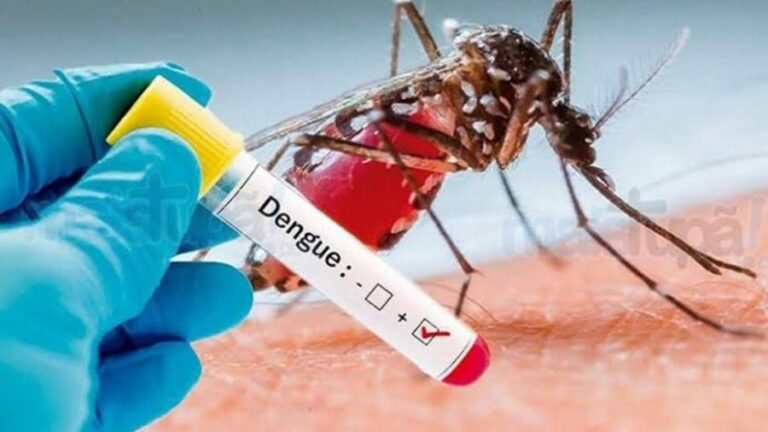 Dengue, grande parte da culpa é da população
