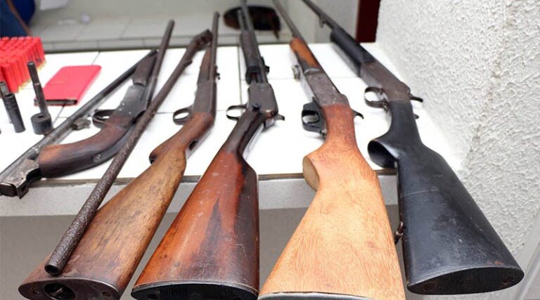 20 armas são apreendidas por dia no Paraná