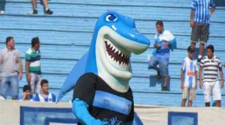 Alguém aí quer falar do Tubarão?