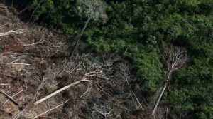 imagem destacada: Desmatamento na Amazônia bate novo recorde