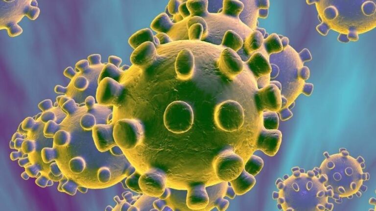 Paraná chega a 30.338 mortes pelo Coronavirus
