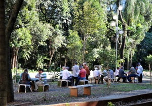 Bom dia Bosque!