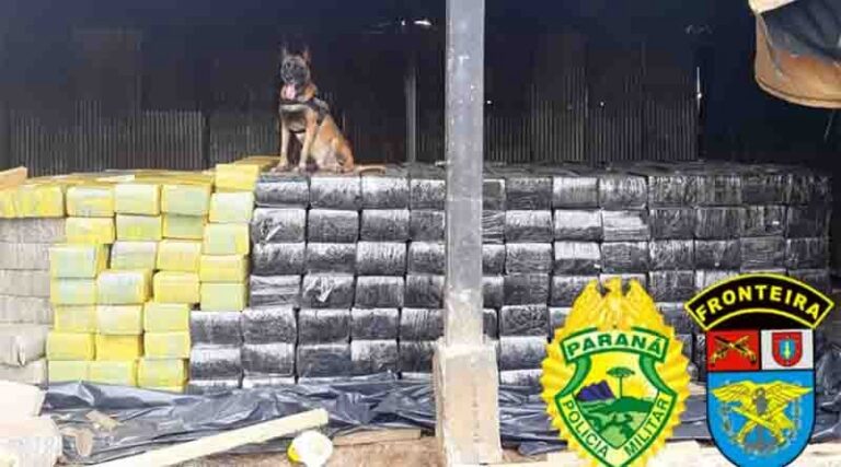 Polícia do Paraná apreende 12,7 toneladas de droga