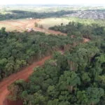 Ministério Público questiona autorização que pavimentou estrada dentro do Cinturão Verde, em Cianorte