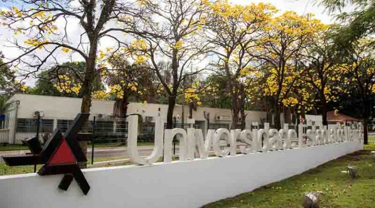 UEM registra 15 patentes em 2020, um recorde na instituição