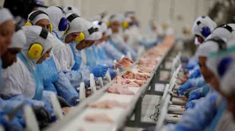 Arábia suspende compra de carne de ave de 11 frigoríficos do Brasil