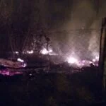 Incêndios na mata de Cianorte
