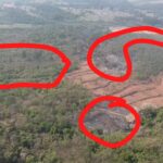 Incêndios na mata de Cianorte