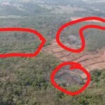 Incêndios na mata de Cianorte