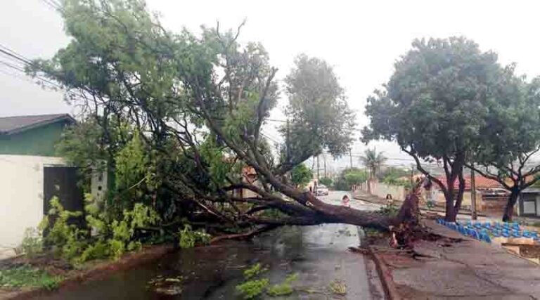 Defesa Civil registra mais de 30 ocorrências por causa da chuva