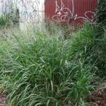 Quem mora perto de bar, quem tem vizinho que não tá nem aí. O que fazer CMTU?