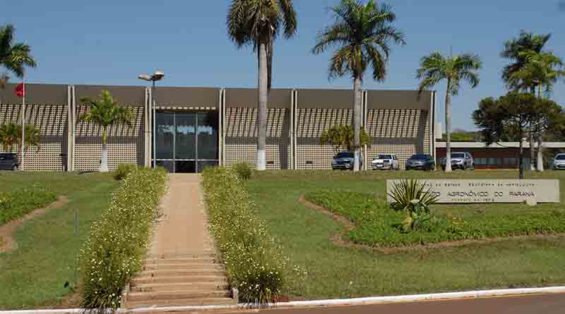Governo autoriza a contratação de 422 profissionais para o Instituto de Desenvolvimento Rural
