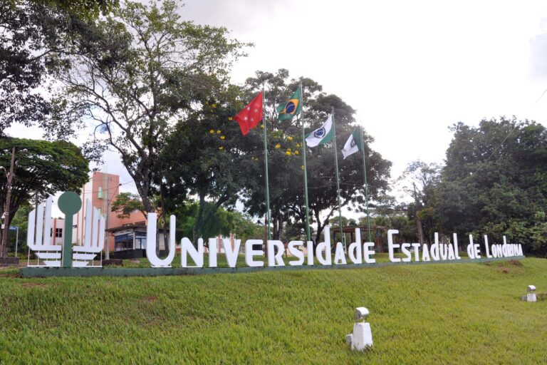 Quatro chapas disputam reitoria da UEL