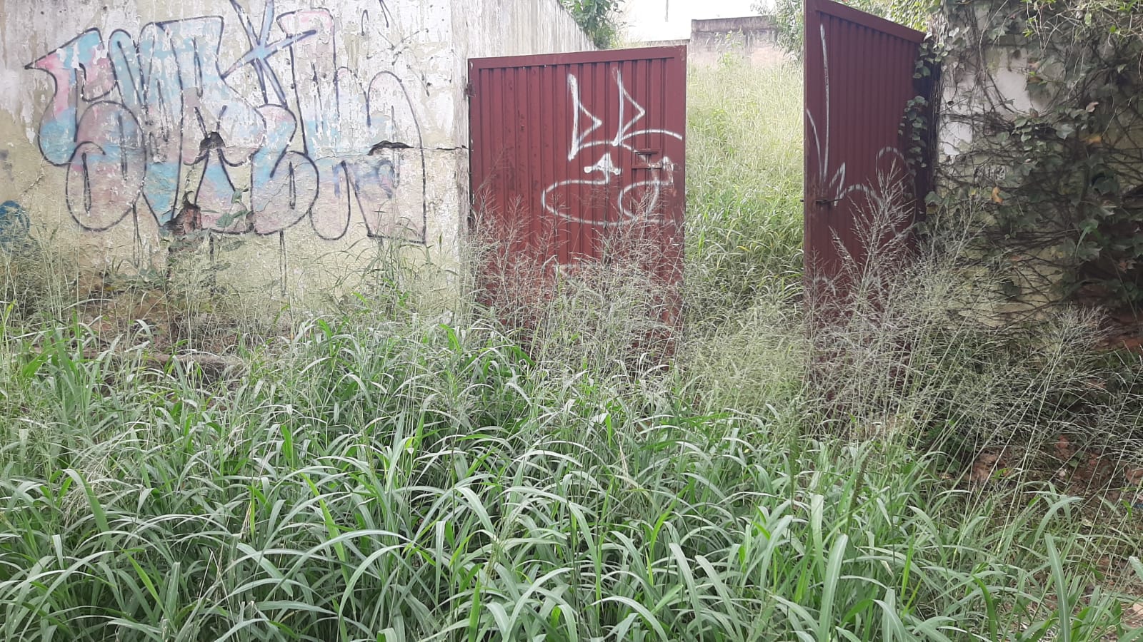 Alerta Dengue. CMTU, a bola está com vocês