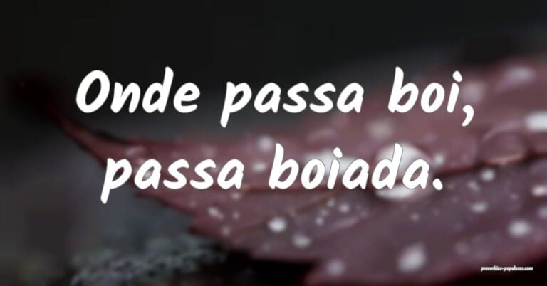 E no Paraná, passa boi, passa boiada