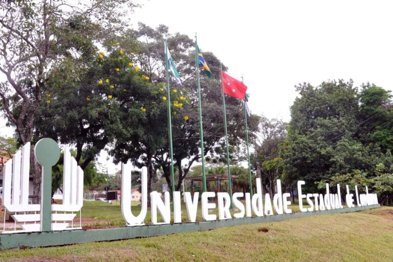 Equipe da UEL oferece apoio psicológico a estudantes e professores do Colégio Helena Kolody