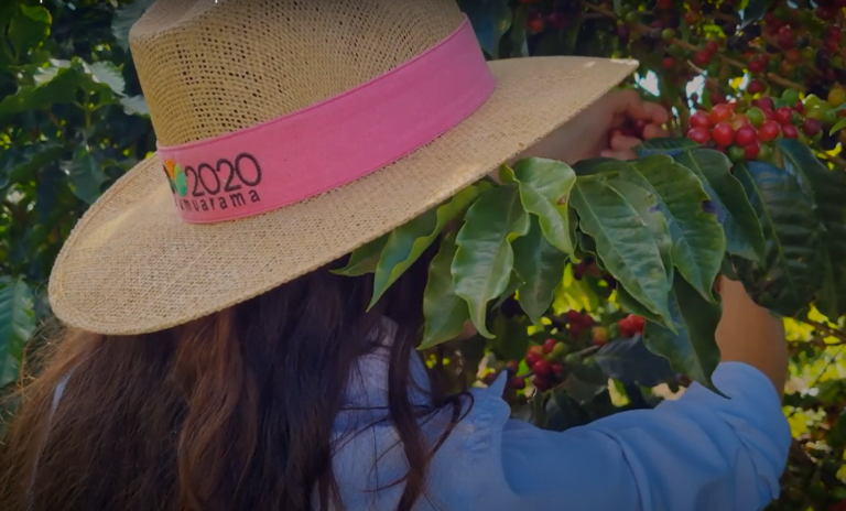 E na ex-capital mundial do Café, um baita video sobre esta bebida deliciosa. Por Wilhan Santin