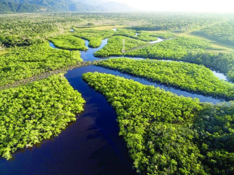 A hora e a vez do protagonismo da Amazônia