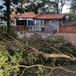 Vendaval provoca queda de dezenas de árvores e destelhamento de casas em Londrina