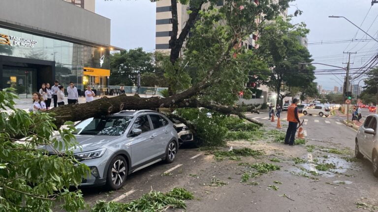 Vendaval provoca queda de dezenas de árvores e destelhamento de casas em Londrina
