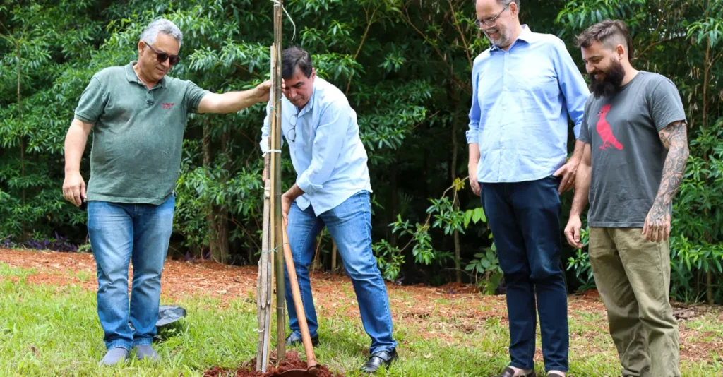 100 mil árvores plantadas em Londrina