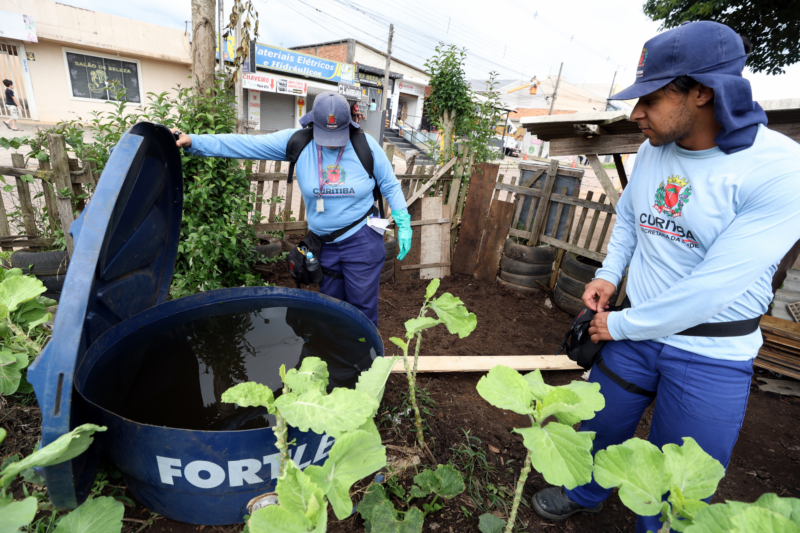 Curitiba também sofre com a Dengue