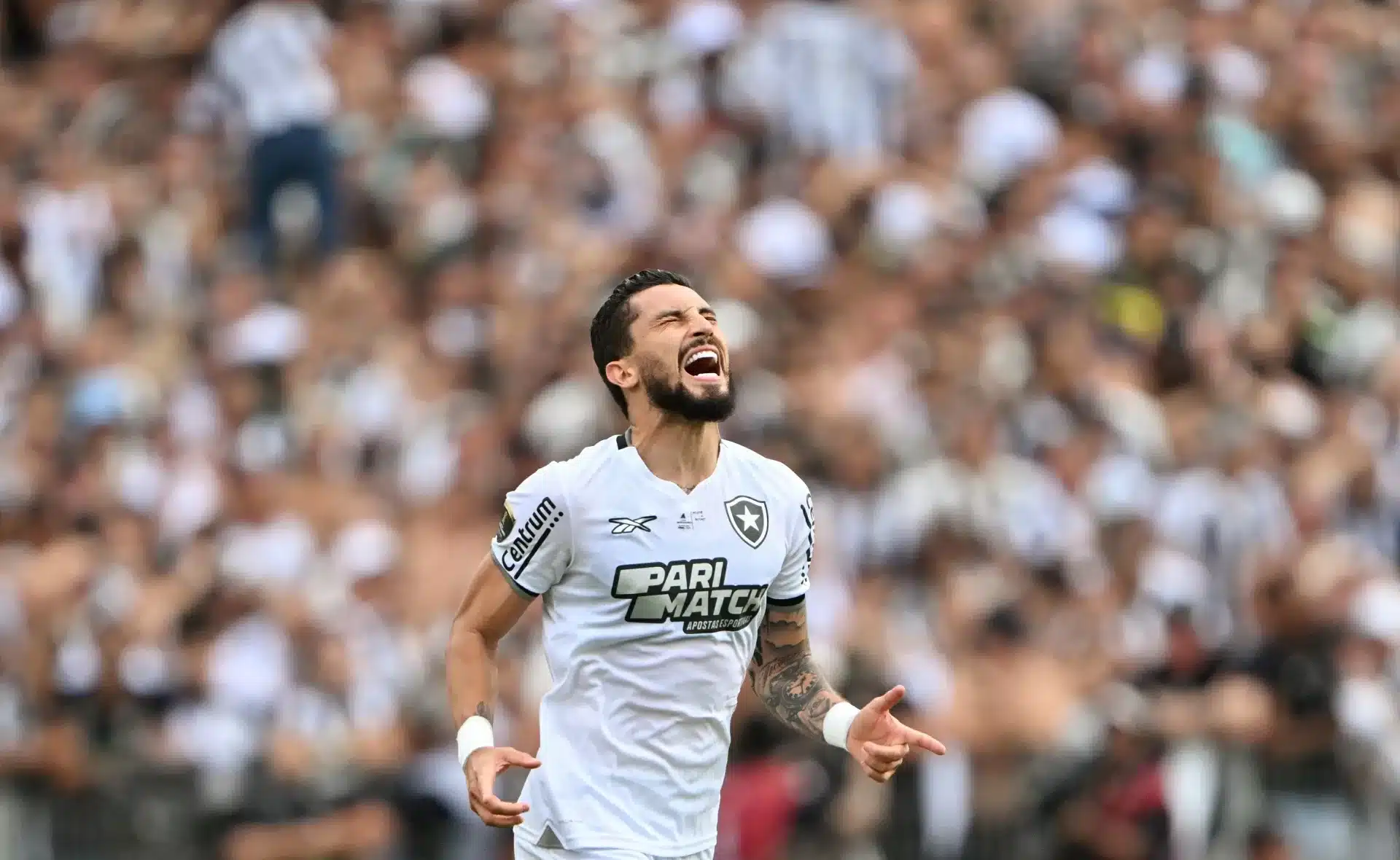 Sai Zica. Botafogo é o campeão da Libertadores da América