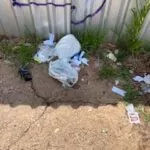 A dengue está de novo ativa e operante, todo mundo precisa colaborar