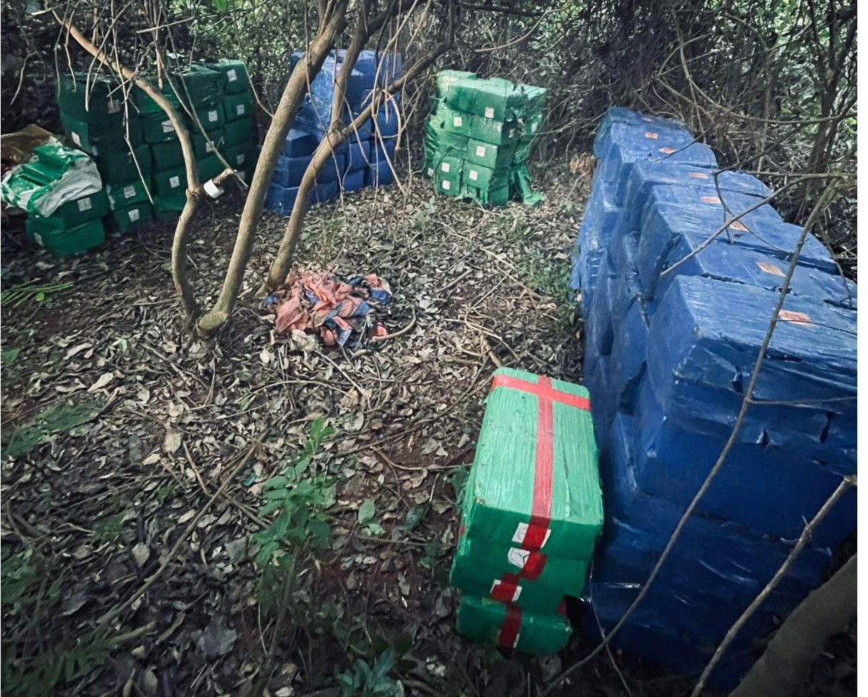 PM do Paraná apreende 8,5 toneladas de maconha em Altônia