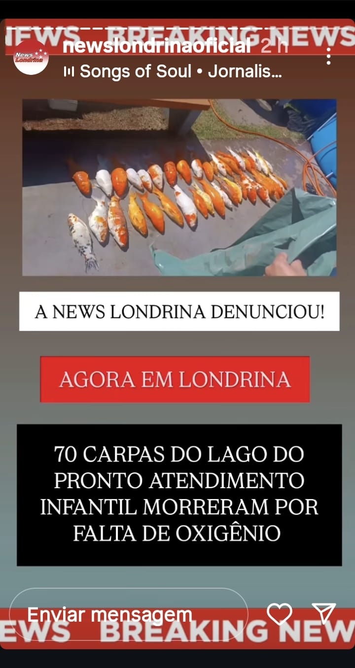 Dezenas de carpas ornamentais morrem no aquário do Pronto Atendimento Infantil. Prefeitura diz que vai investigar