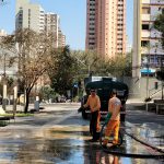 E no bosque central, as pombas vencem todo dia