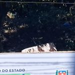 Sem surpresa, terminal metropolitano de Londrina, por enquanto é só mato