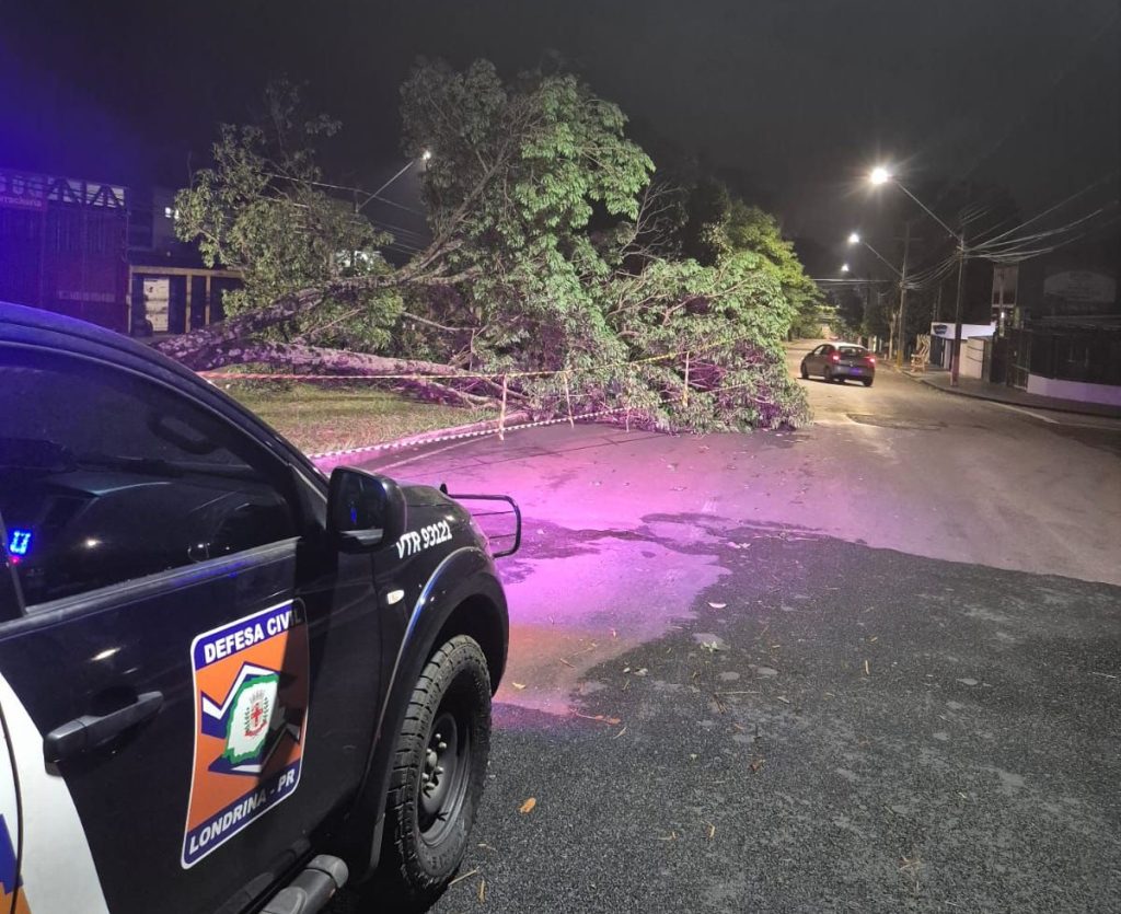 Chuva derruba árvores e rede elétrica em Londrina