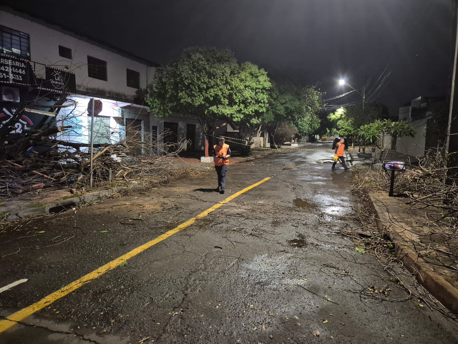 Chuva derruba árvores e rede elétrica em Londrina