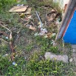 Limpeza em respeito ao outro, ao contribuinte. É preciso melhorar a conscientização