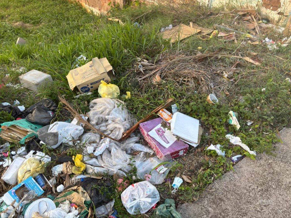 Limpeza em respeito ao outro, ao contribuinte. É preciso melhorar a conscientização