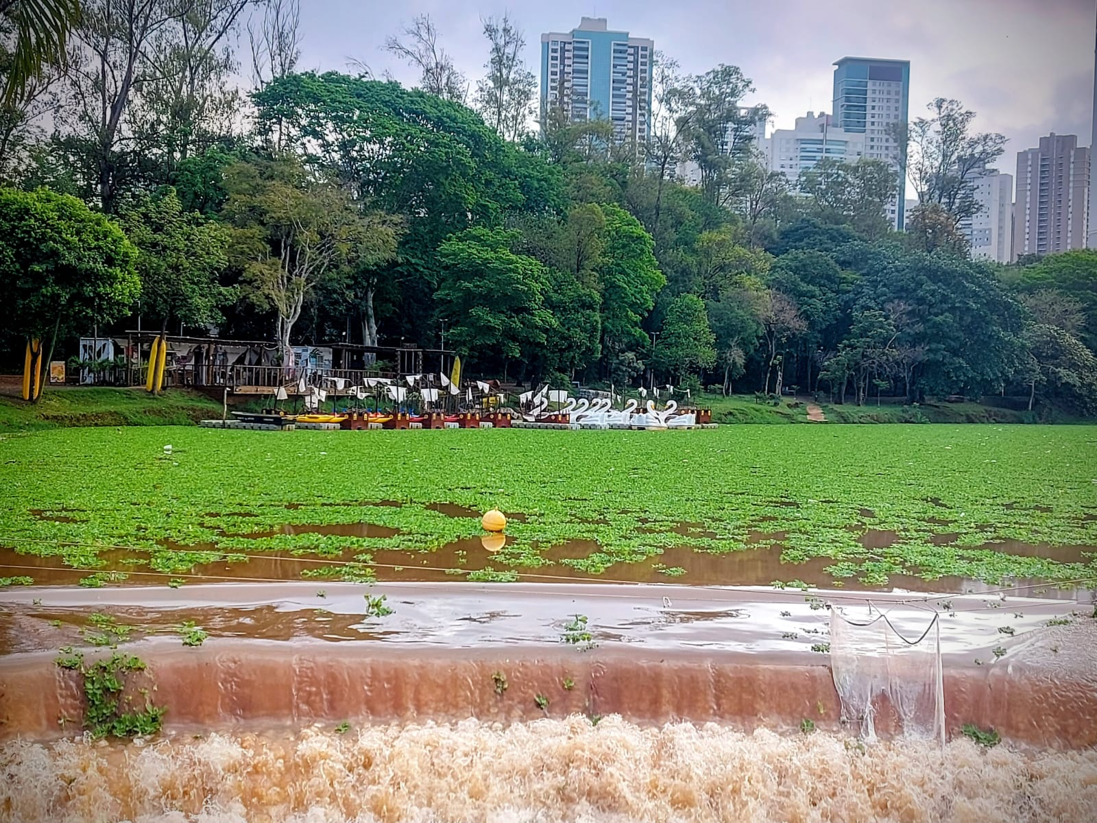Fezes humanas — o preço do luxo à beira do Igapó