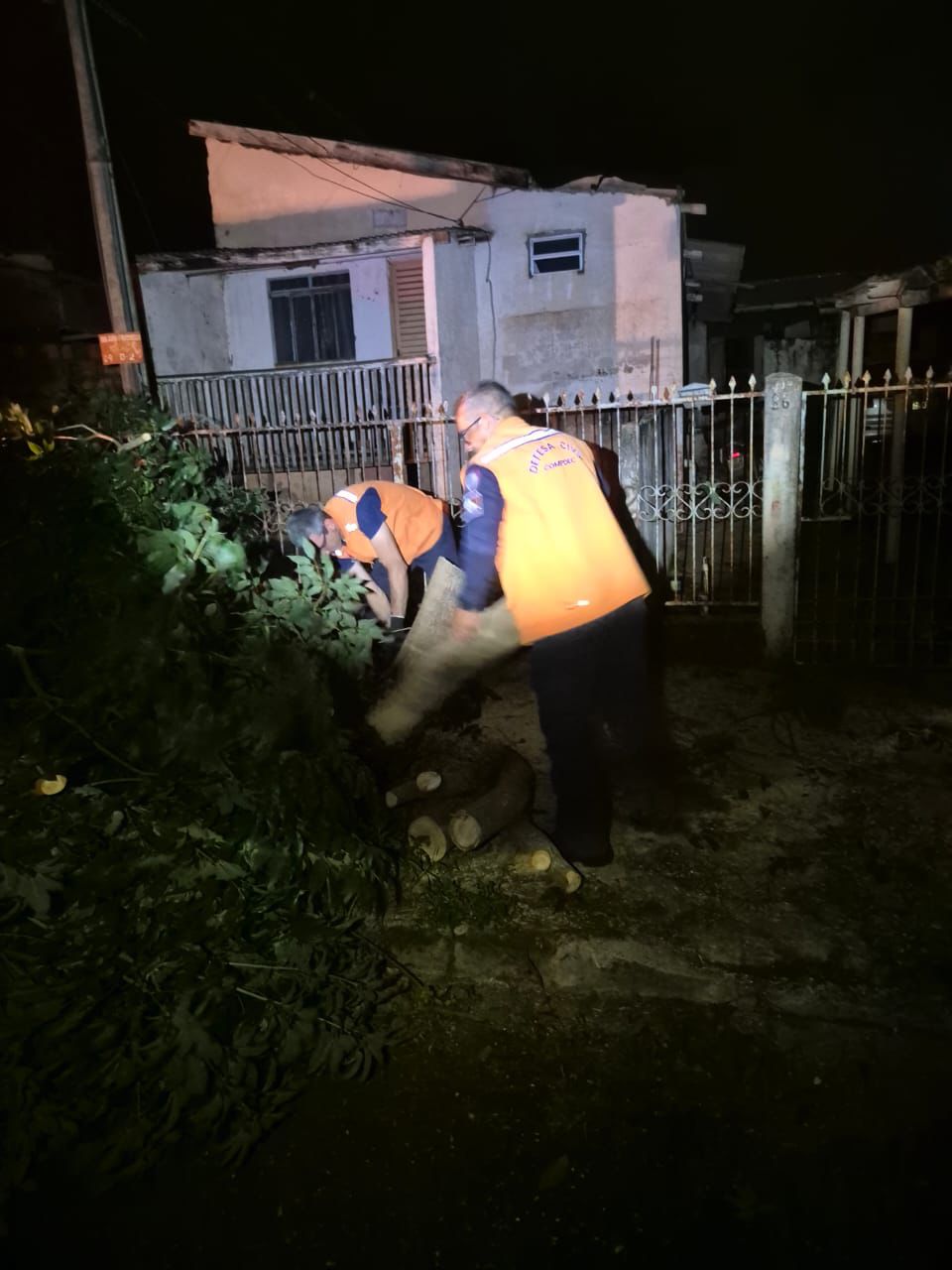 Londrina: Vendaval e chuva derrubam 75 árvores e provocam estragos em prédios públicos