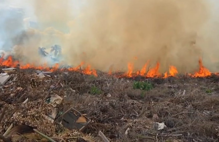 Novo incêndio no PEV da zona norte. Vereador acusa prefeitura de omissão