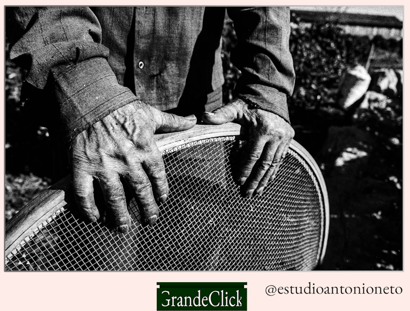 Grande Click: foto de Antonio Neto