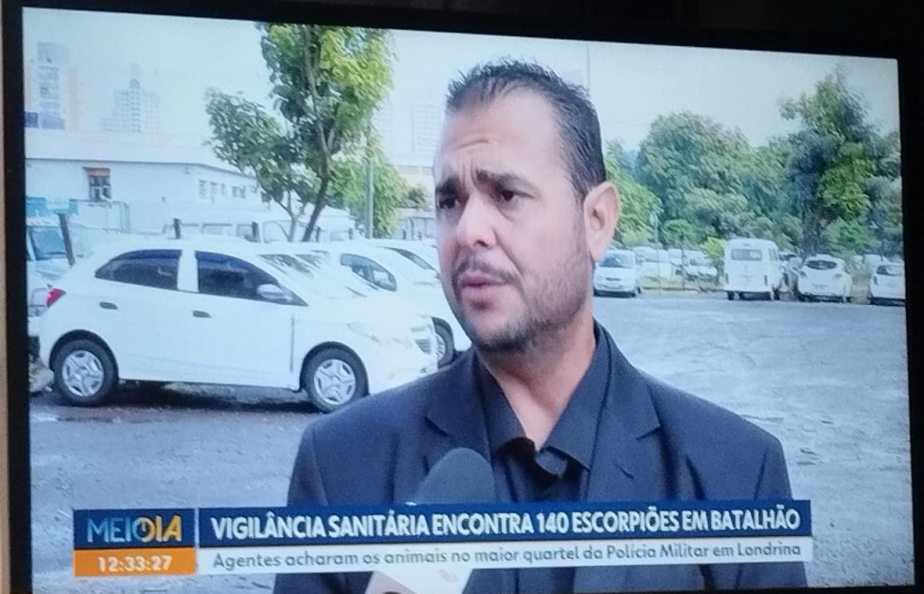 É urgente uma ação ampla contra a infestação de escorpiões em Londrina
