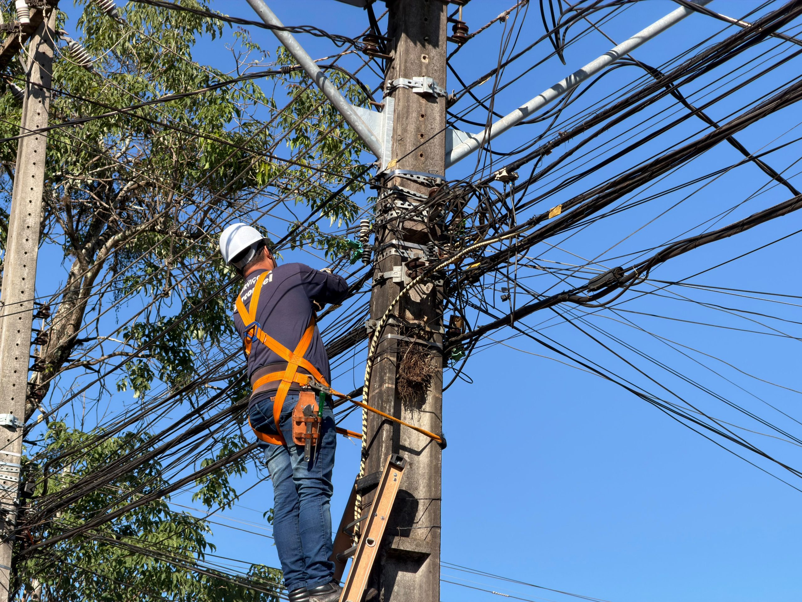Mutirão em Londrina remove mais de 900 quilos de cabos de telecomunicações irregulares