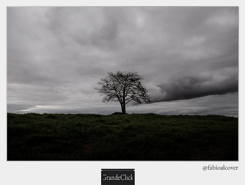Grande Click: Foto Fábio Alcover