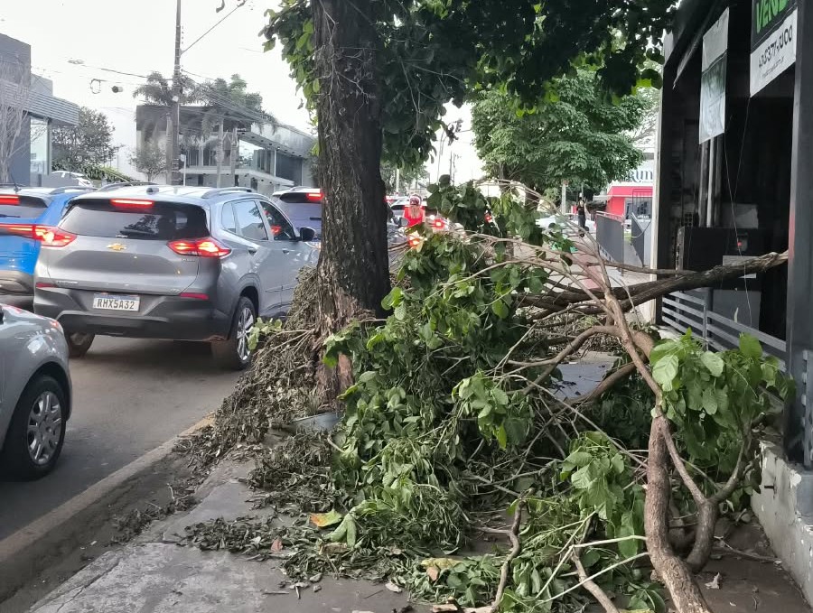 Mobilidade Urbana de Londrina, é um desafio, mas também falta sensibilidade